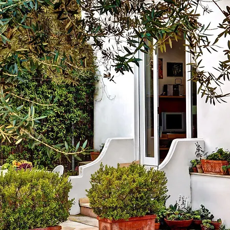 Apartment Punta Del Capo *